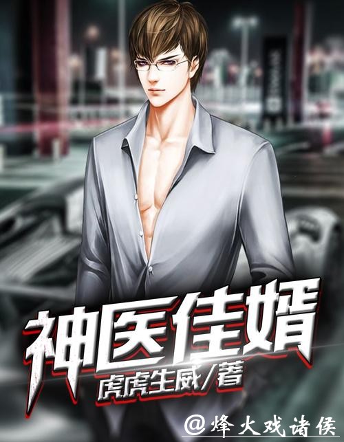 精品巨作《神医佳婿》，值得细细品读