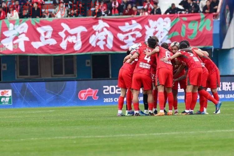 河南队2025：用汗水与血性，书写一段逆境重生传奇